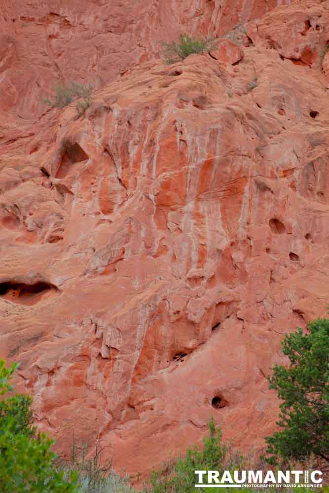 A small park in Colorado Springs, but one of the most beautiful places I have ever visited.  I didn't do it justice.