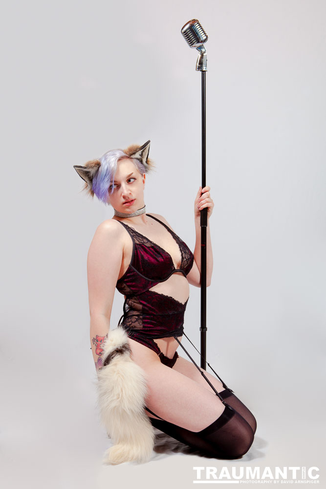 Viksen contacted to me about doing a Kitten session for her and a few frieinds.  Here are the results.