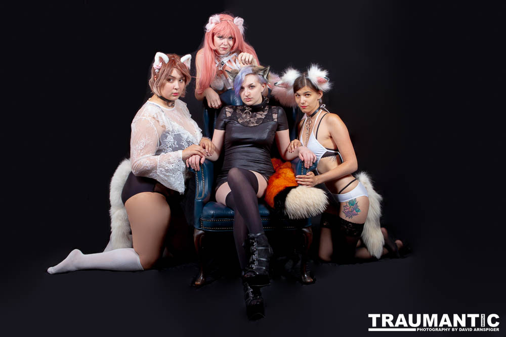 Viksen contacted to me about doing a Kitten session for her and a few frieinds.  Here are the results.