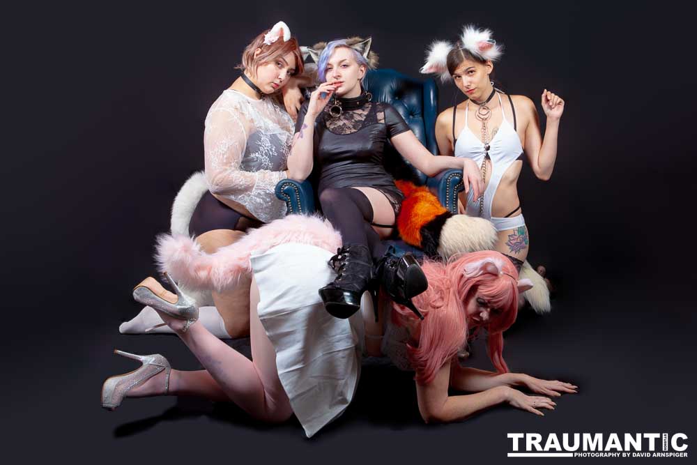 Viksen contacted to me about doing a Kitten session for her and a few frieinds.  Here are the results.