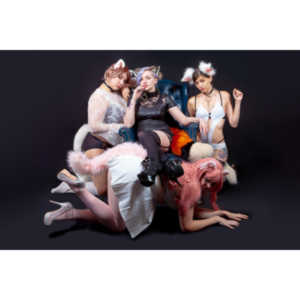 Viksen contacted to me about doing a Kitten session for her and a few frieinds.  Here are the results.