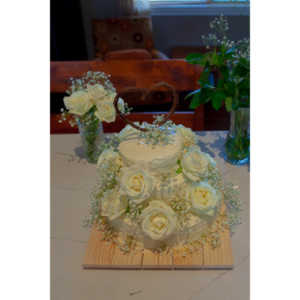 I had the honor of photographing my friend Emily's wedding to Greg Adkins.