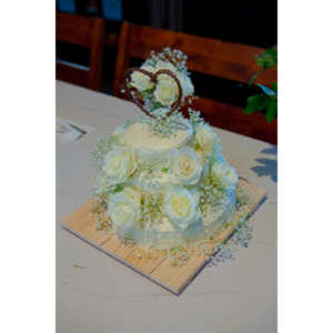 I had the honor of photographing my friend Emily's wedding to Greg Adkins.