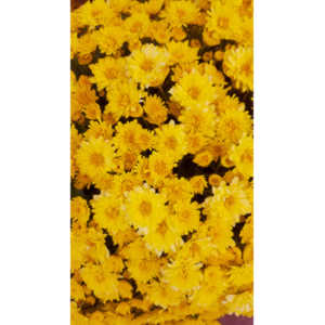 When you see beautiful things and all you have is your mobile phone, this is what you can get.