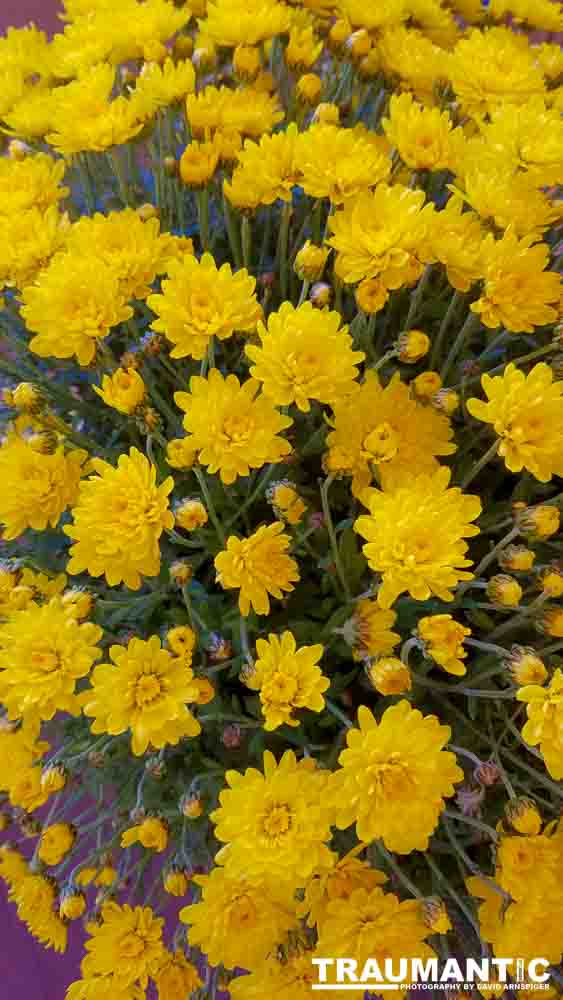 When you see beautiful things and all you have is your mobile phone, this is what you can get.