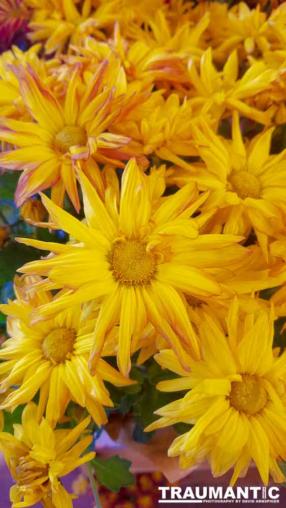 When you see beautiful things and all you have is your mobile phone, this is what you can get.