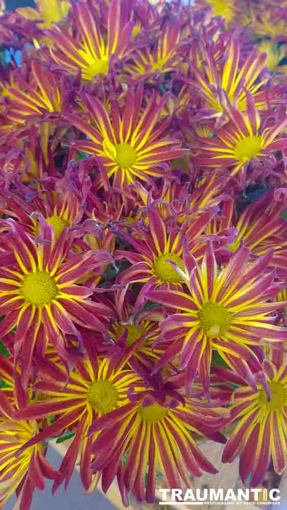 When you see beautiful things and all you have is your mobile phone, this is what you can get.