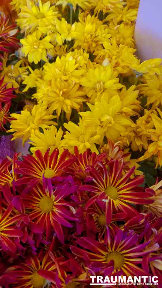 When you see beautiful things and all you have is your mobile phone, this is what you can get.