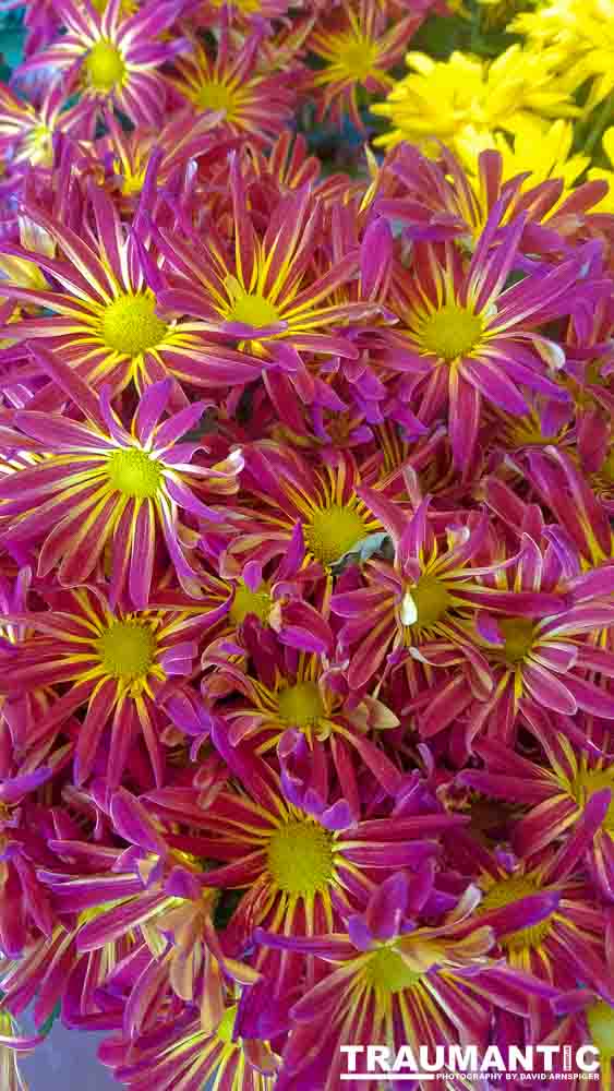 When you see beautiful things and all you have is your mobile phone, this is what you can get.