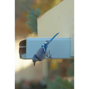 Spent some more quality time with the occupants of my backyard today.