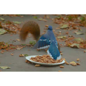 Spent some more quality time with the occupants of my backyard today.