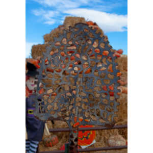 I grabbed a few random pictures around the farm on a family trip.