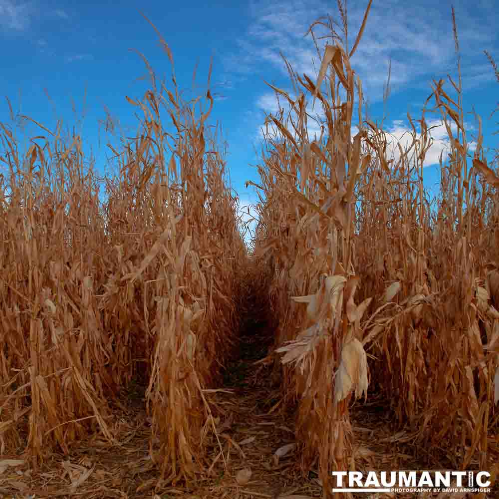 I grabbed a few random pictures around the farm on a family trip.