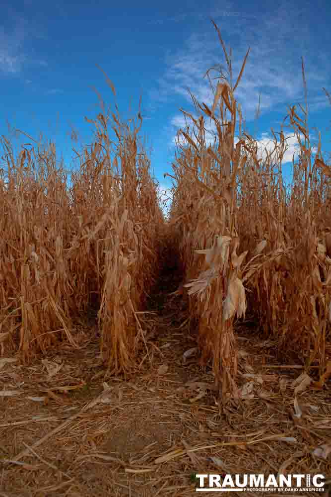 I grabbed a few random pictures around the farm on a family trip.