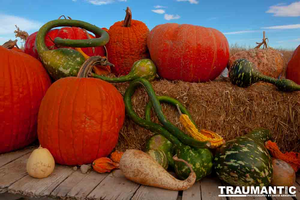 I grabbed a few random pictures around the farm on a family trip.