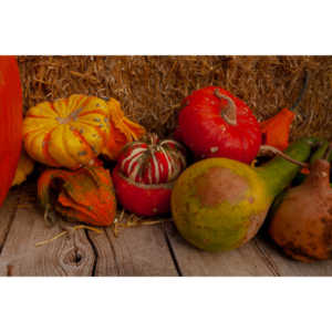 I grabbed a few random pictures around the farm on a family trip.