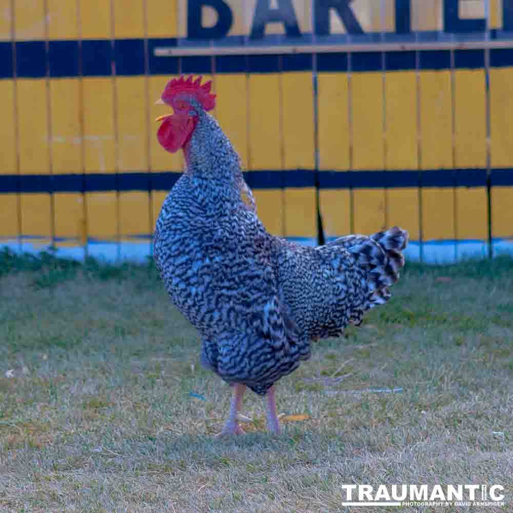 I grabbed a few random pictures around the farm on a family trip.