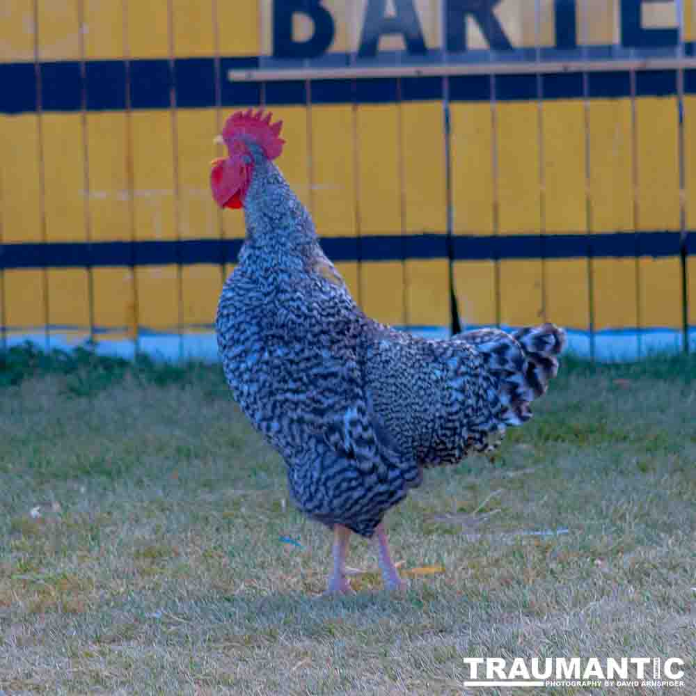 I grabbed a few random pictures around the farm on a family trip.