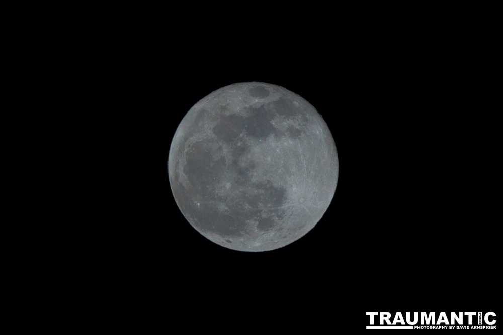 This was the year I officially started LPOTY, but I did add the previous four years to the collection.  What better image for the last photo of the year than a full blue moon on New Year's Eve?