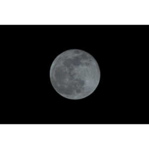 This was the year I officially started LPOTY, but I did add the previous four years to the collection.  What better image for the last photo of the year than a full blue moon on New Year's Eve?