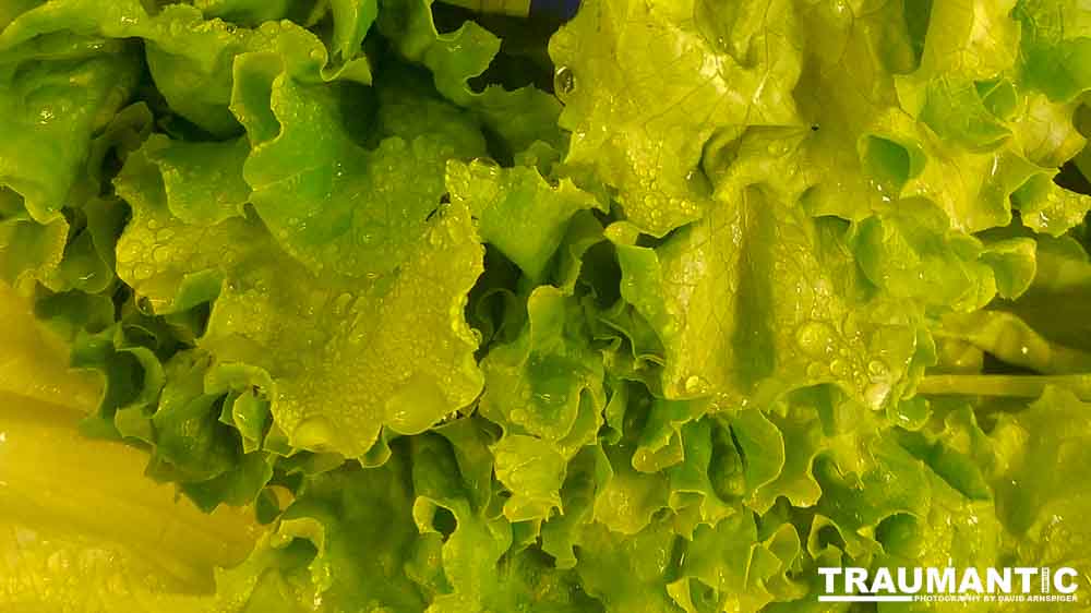 Sometimes I get bored in the market and whip out my cel phone and start taking pictures of things that interest me visually.