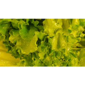 Sometimes I get bored in the market and whip out my cel phone and start taking pictures of things that interest me visually.