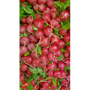 Sometimes I get bored in the market and whip out my cel phone and start taking pictures of things that interest me visually.