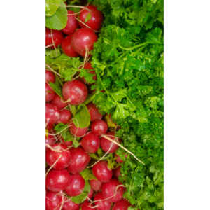 Sometimes I get bored in the market and whip out my cel phone and start taking pictures of things that interest me visually.