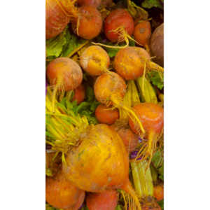 Sometimes I get bored in the market and whip out my cel phone and start taking pictures of things that interest me visually.