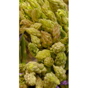 Another round of me being bored in the market.