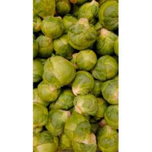 Another round of me being bored in the market.