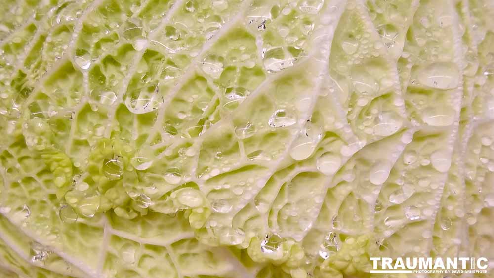 Another round of me being bored in the market.