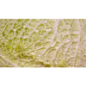 Another round of me being bored in the market.