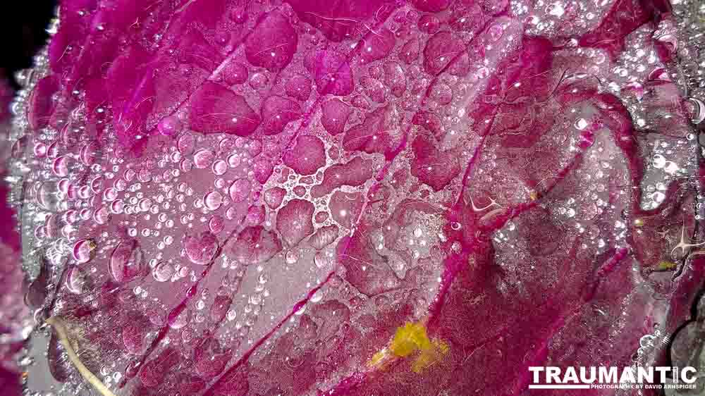 Another round of me being bored in the market.