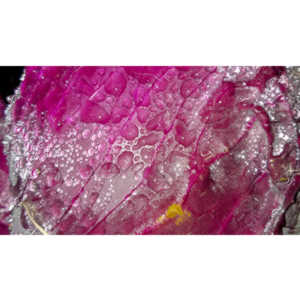 Another round of me being bored in the market.