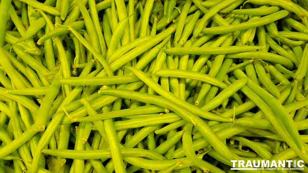 Another round of me being bored in the market.