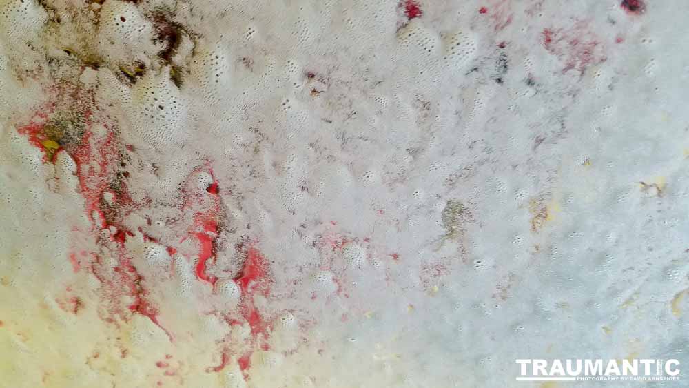 Sitting in the car, watching the brushes.....wait, time for some pictures.