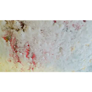 Sitting in the car, watching the brushes.....wait, time for some pictures.