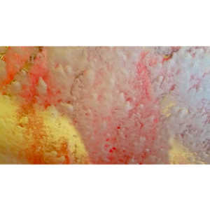 Sitting in the car, watching the brushes.....wait, time for some pictures.