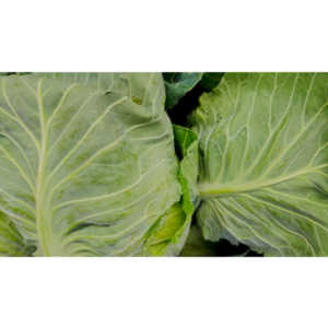 One of my many photo sessions as I wander through the supermarket with my wife.