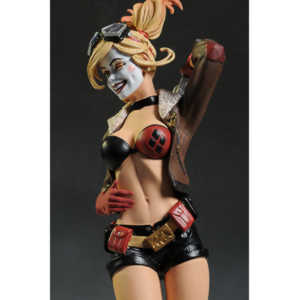 Kelsey wanted to recreate Harley Quinn, so we did.