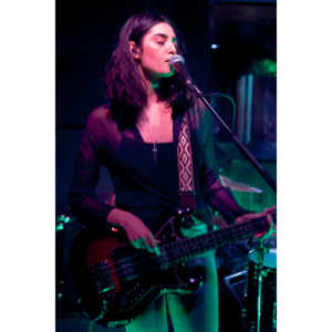 I first encountered Pink Fuzz when the opened up for Heart at a local arena.  I bought their CD right after the show.  A great rock band well worth your time.