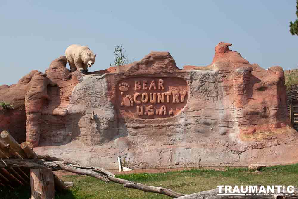 We loved this place.   So many bears at feeding time.